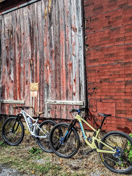 Flagler Bike Shop Picture 2