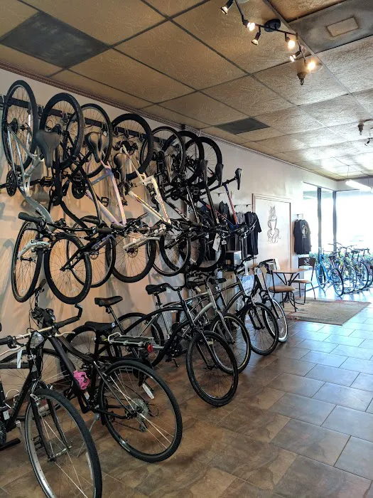 Flagler Bike Shop Picture 3