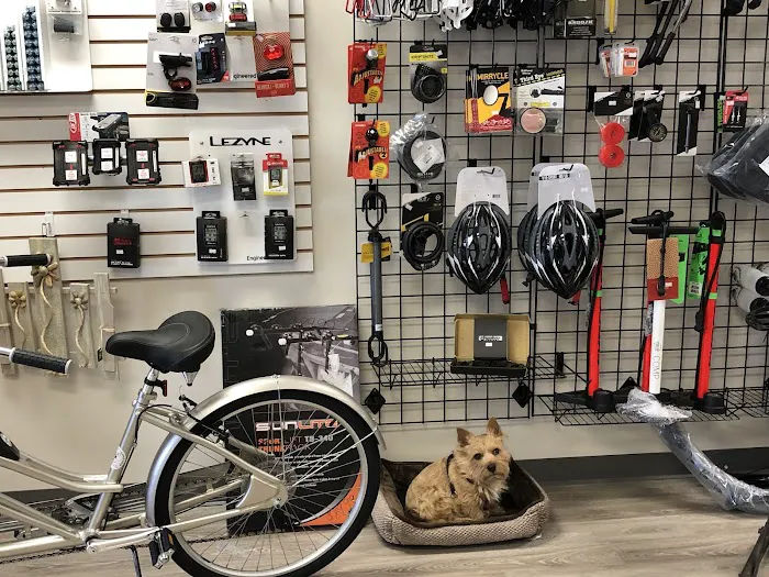 Flagler Bike Shop Picture 8