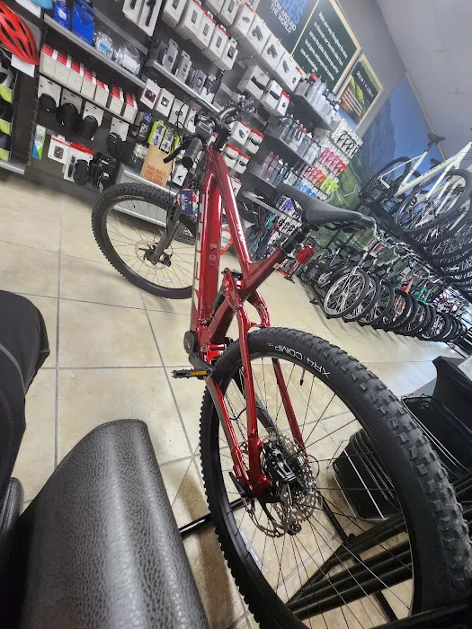Trek Bicycle Ormond Beach Picture 1