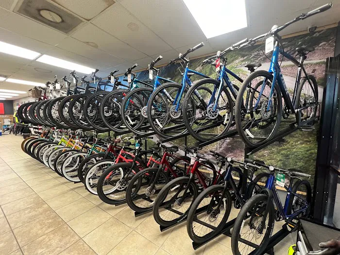 Trek Bicycle Ormond Beach Picture 6