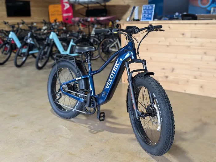 Yew E-bikes Picture 7