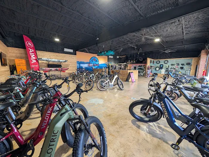 Yew E-bikes Picture 10