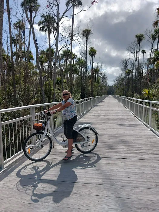 Emoschin Electric Bikes Picture 4