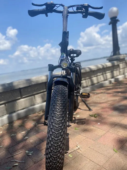 Emoschin Electric Bikes Picture 5