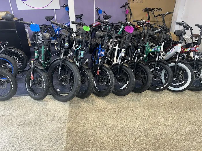 Emoschin Electric Bikes Picture 6