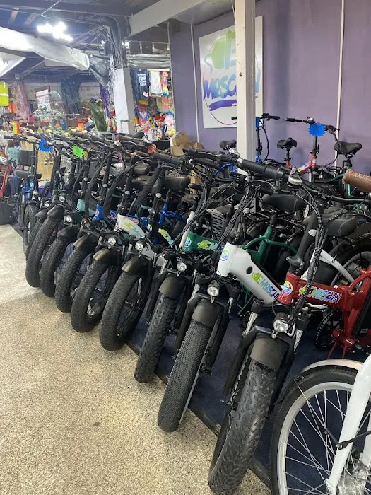 Emoschin Electric Bikes Picture 3