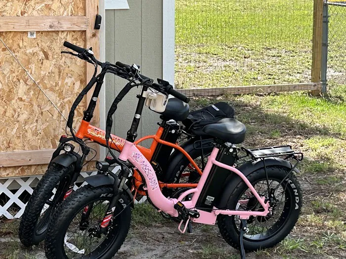 Emoschin Electric Bikes Picture 9