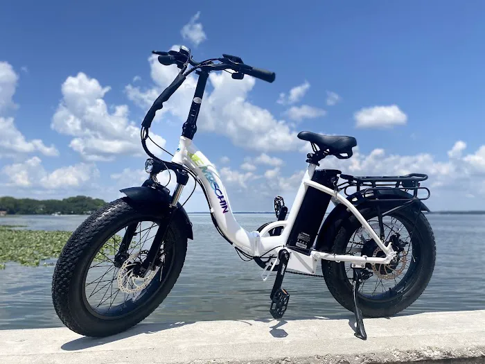 Emoschin Electric Bikes Picture 8