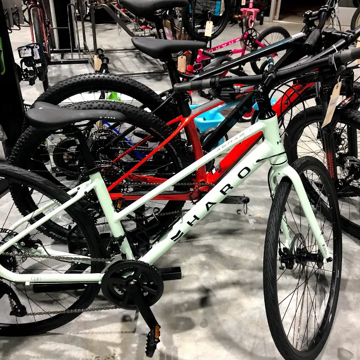 The Hub Cycling Picture 10