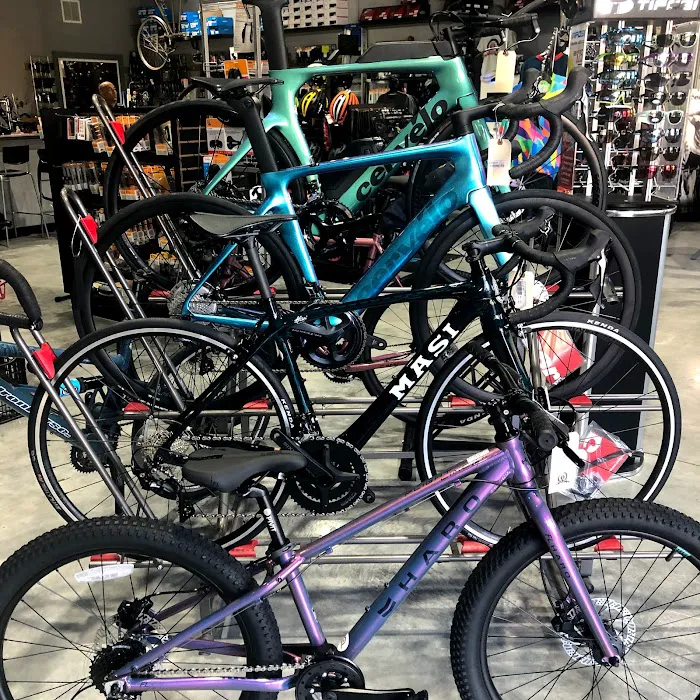 The Hub Cycling Picture 3