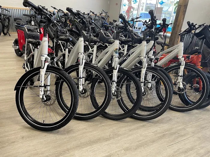Daytona Electric Bikes Picture 5