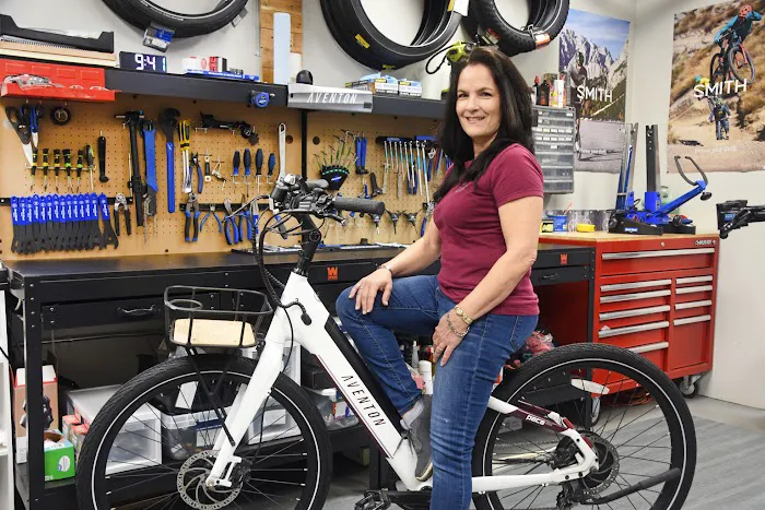 Daytona Electric Bikes Picture 2