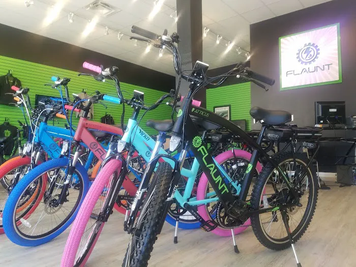 FLAUNT Electric Bicycles Picture 3