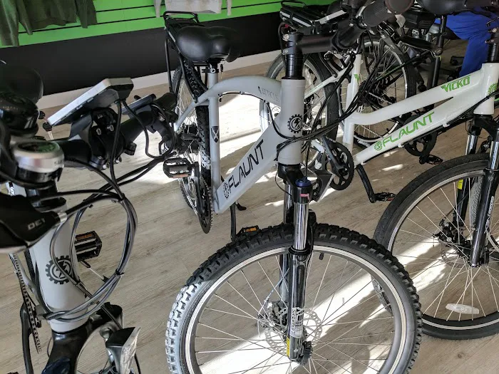 FLAUNT Electric Bicycles Picture 6