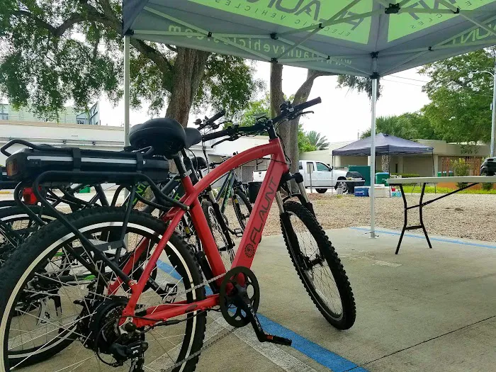 FLAUNT Electric Bicycles Picture 2