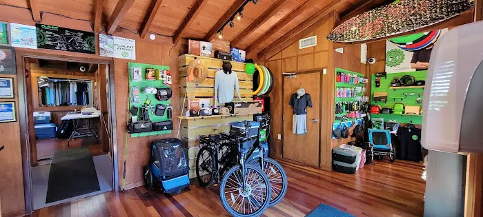 FLAUNT Electric Bicycles Picture 9