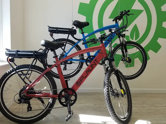 FLAUNT Electric Bicycles Picture 1