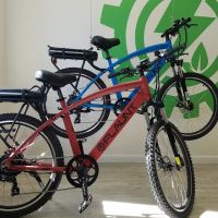 FLAUNT Electric Bicycles ico