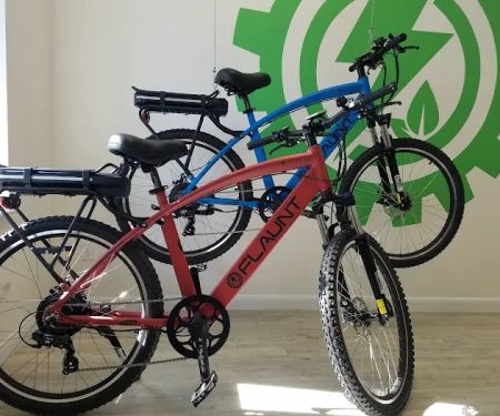 FLAUNT Electric Bicycles