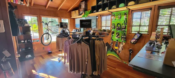 FLAUNT Electric Bicycles Picture 4