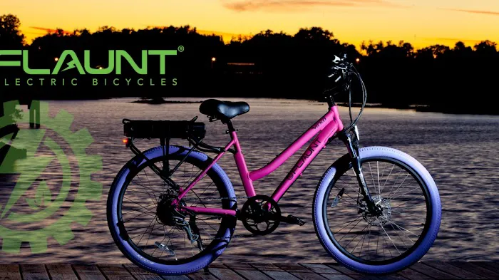 FLAUNT Electric Bicycles Picture 10
