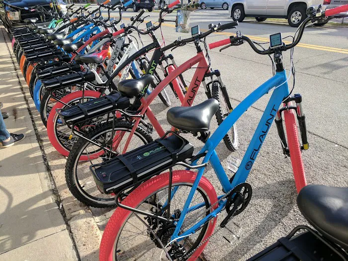 FLAUNT Electric Bicycles Picture 5