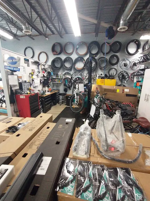 Pedego Electric Bikes New Smyrna Beach Picture 8
