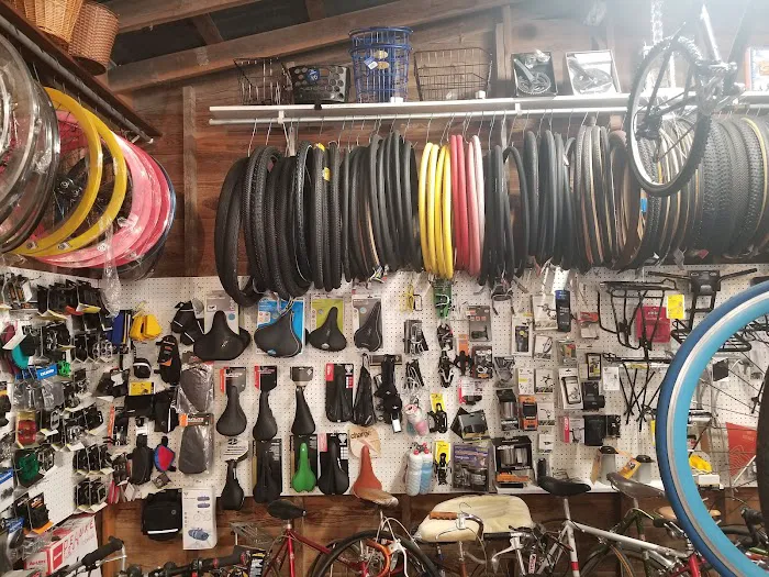 Deland Cyclery Picture 3