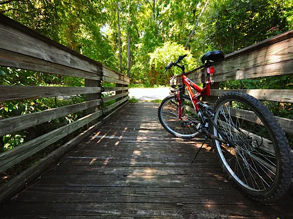 Deland Cyclery Picture 9