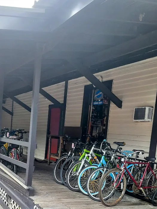 Deland Cyclery Picture 5