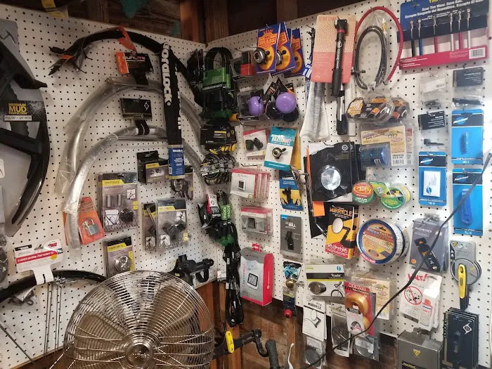 Deland Cyclery Picture 4