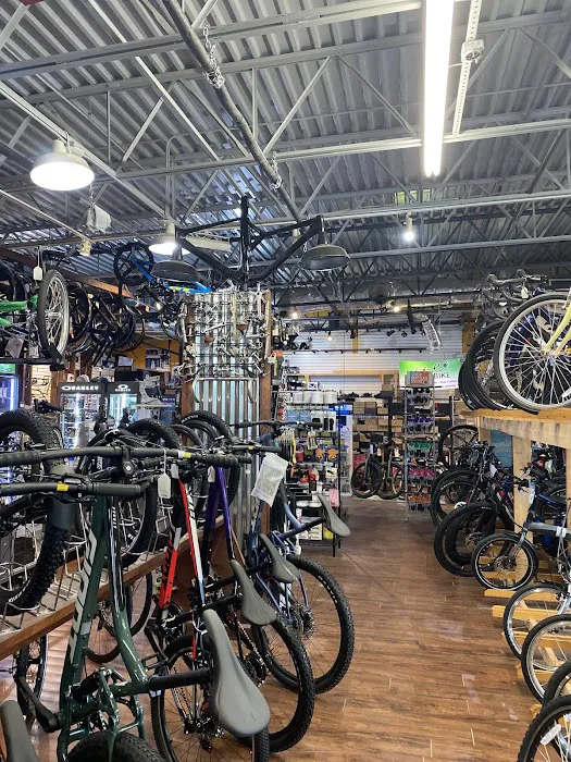 J C's Bikes & Boards LLC Picture 7