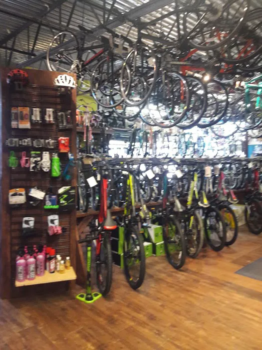 J C's Bikes & Boards LLC Picture 10