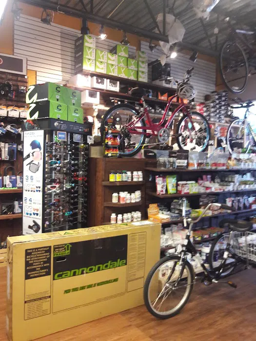 J C's Bikes & Boards LLC Picture 3