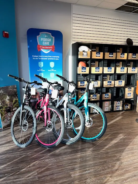 Pedego Electric Bikes DeLand Picture 9