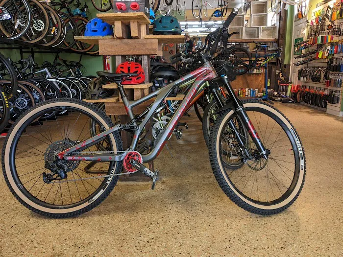 Pedal Driven Co. Picture 5