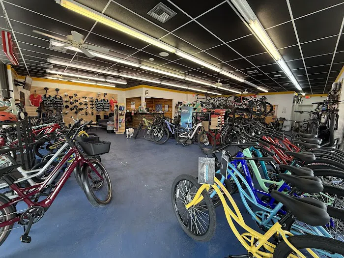 Bicikleta Bike Shop Picture 1