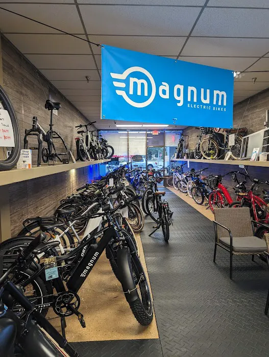 New Life Electric Bike Company Picture 1