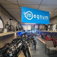 New Life Electric Bike Company ico