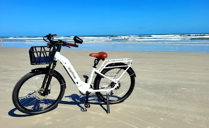 New Life Electric Bike Company Picture 2