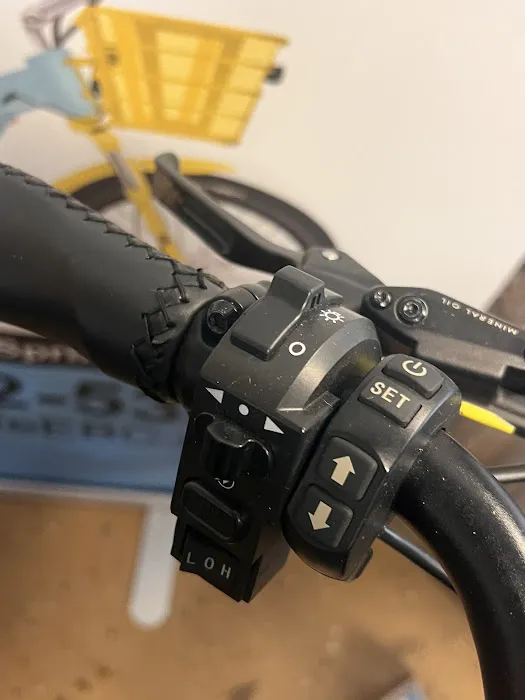 New Life Electric Bike Company Picture 3