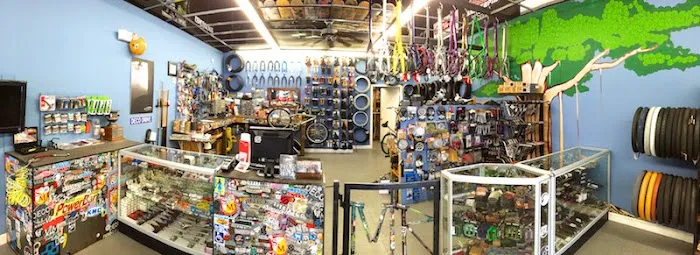 Mr Bikes n Boards Picture 2
