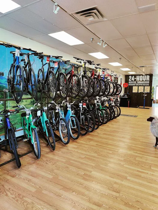 Trek Bicycle Altamonte Springs Picture 5