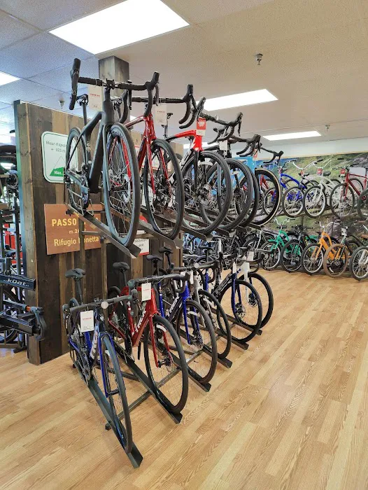 Trek Bicycle Altamonte Springs Picture 4