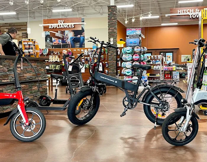 V&D Electric Bikes Picture 1