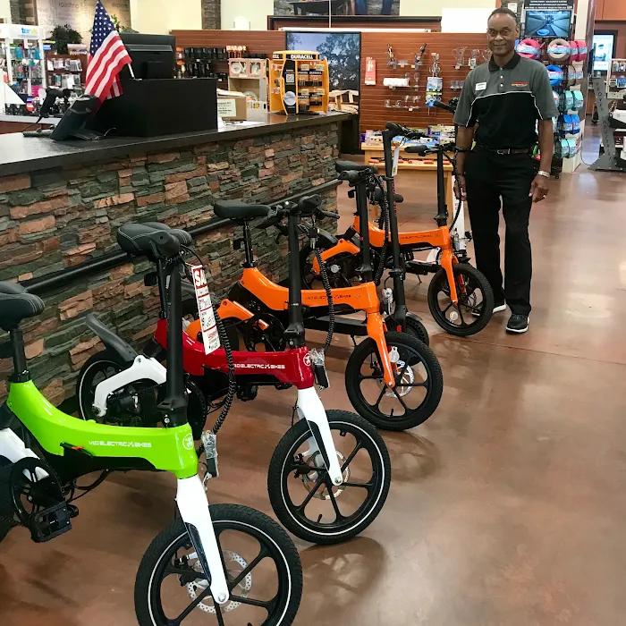 V&D Electric Bikes Picture 7