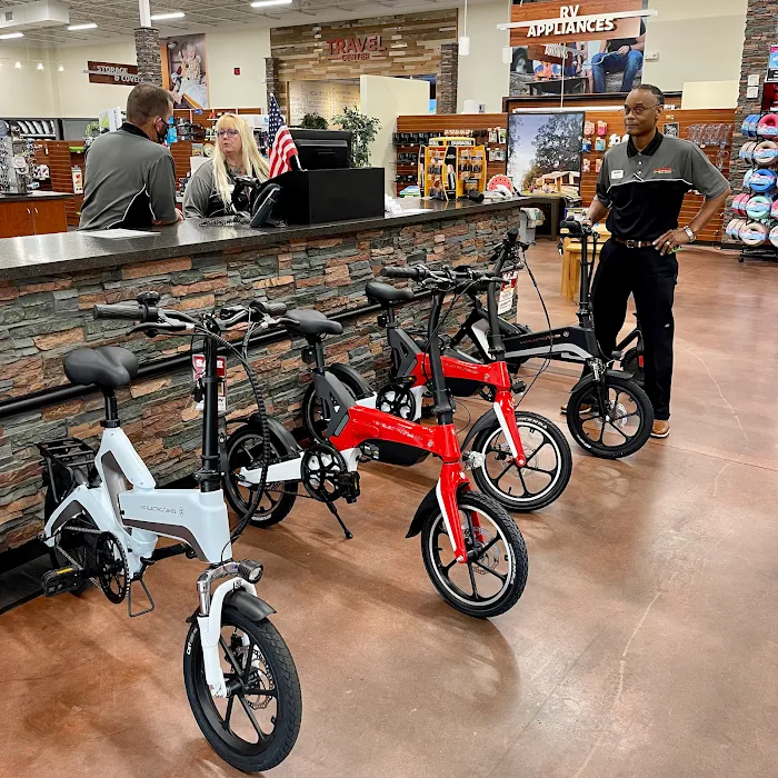 V&D Electric Bikes Picture 10