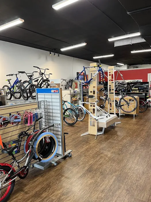 Volare Cycling Picture 4