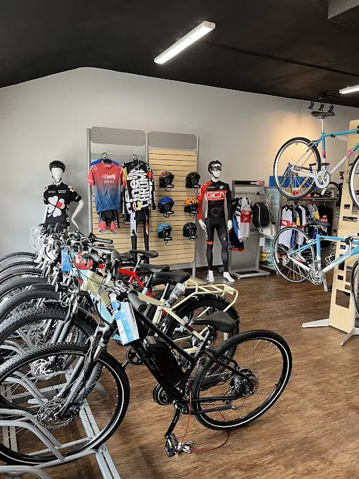 Volare Cycling Picture 7